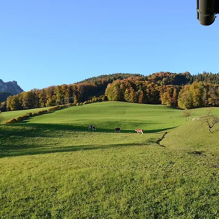 Grabner * Saint Wolfgang